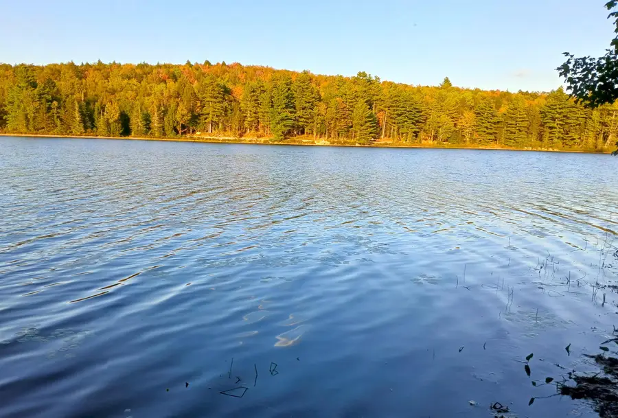 Tall Timber Drive, Grantham, NH 03753 - #3