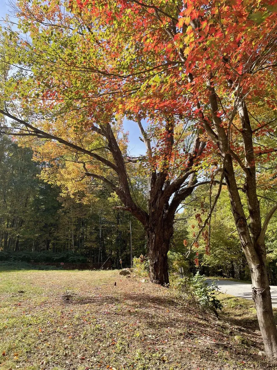 327 South Road, Bethlehem, NH 03574 - #3
