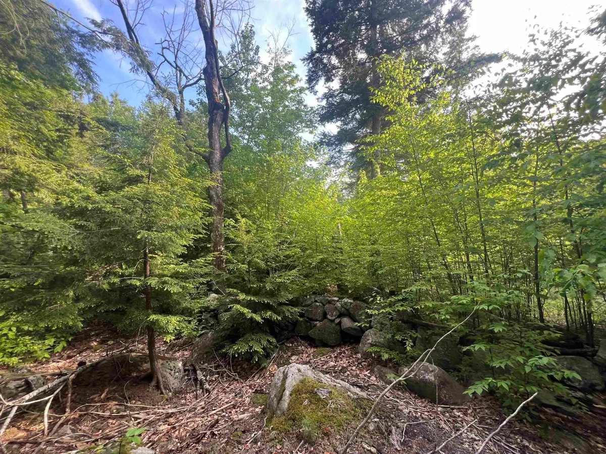 7199 Shaker Road, Loudon, NH 03307 - #1