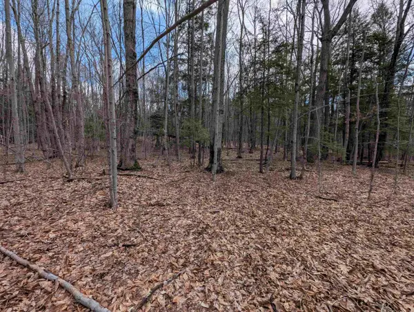 Map 41 Lot 21 Jewett Road, Weare, NH 03281