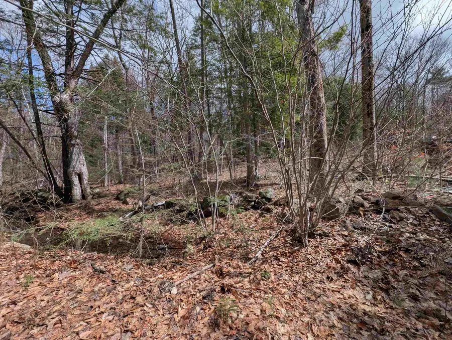 Map 41 Lot 21 Jewett Road, Weare, NH 03281 - #2