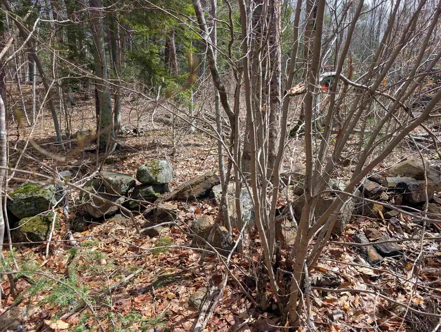Map 41 Lot 21 Jewett Road, Weare, NH 03281 - #3