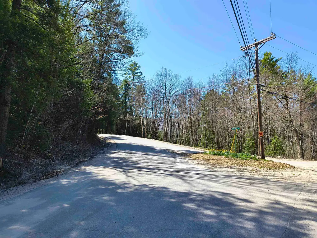0 Littlefield Road, Danbury, NH 03230 - #1