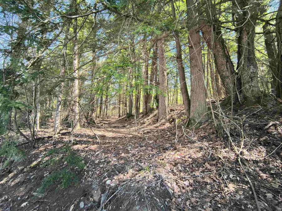 0 Littlefield Road, Danbury, NH 03230 - #2