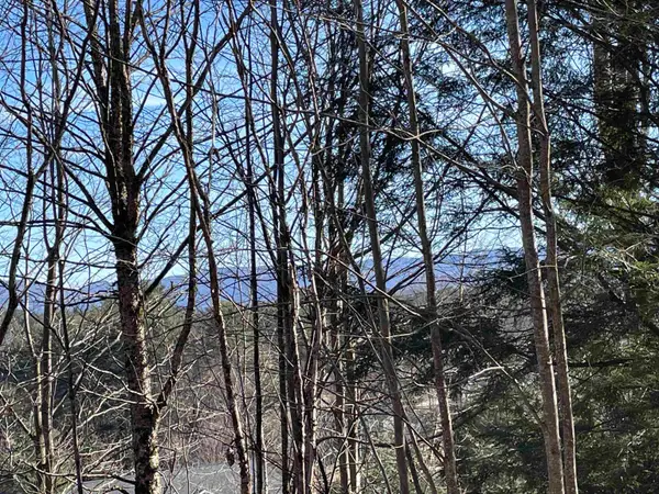 Lot 5 Haley Drive, Hyde Park, VT 05655