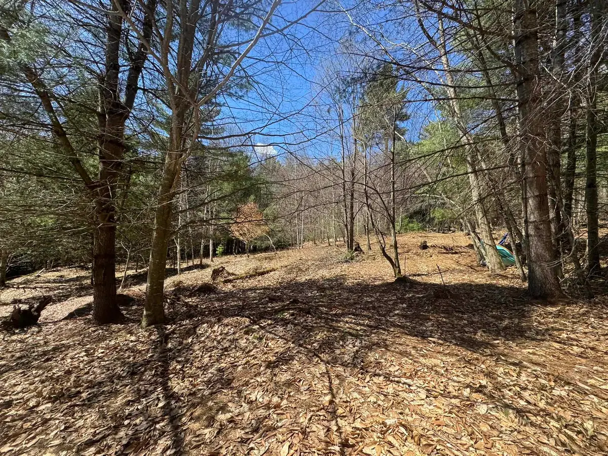 4 & 5 Haley Drive #Lot 4 & Lot 5, Hyde Park, VT 05655 - #1
