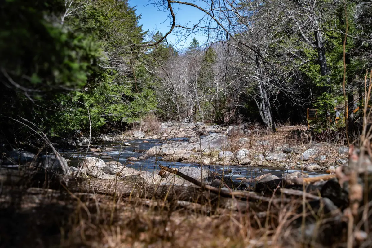 Lot 1 N Dorchester Road, Wentworth, NH 03282 - #1