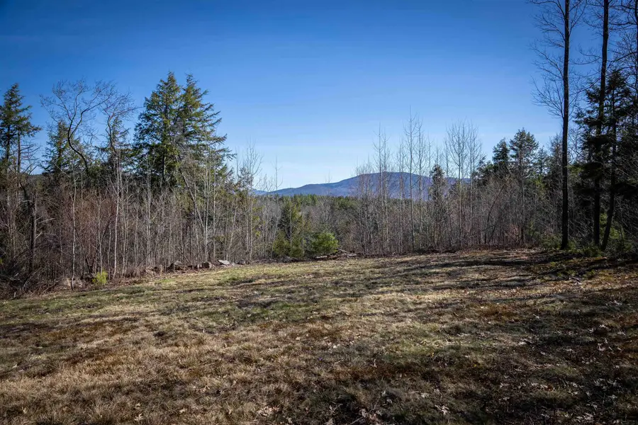 Lot 1 N Dorchester Road, Wentworth, NH 03282 - #2