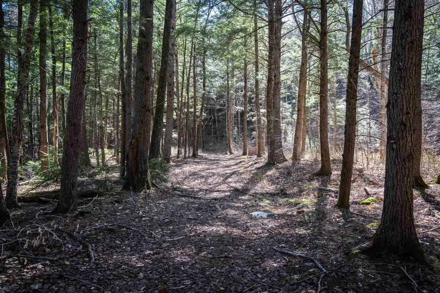 Lot 1 N Dorchester Road, Wentworth, NH 03282 - #3
