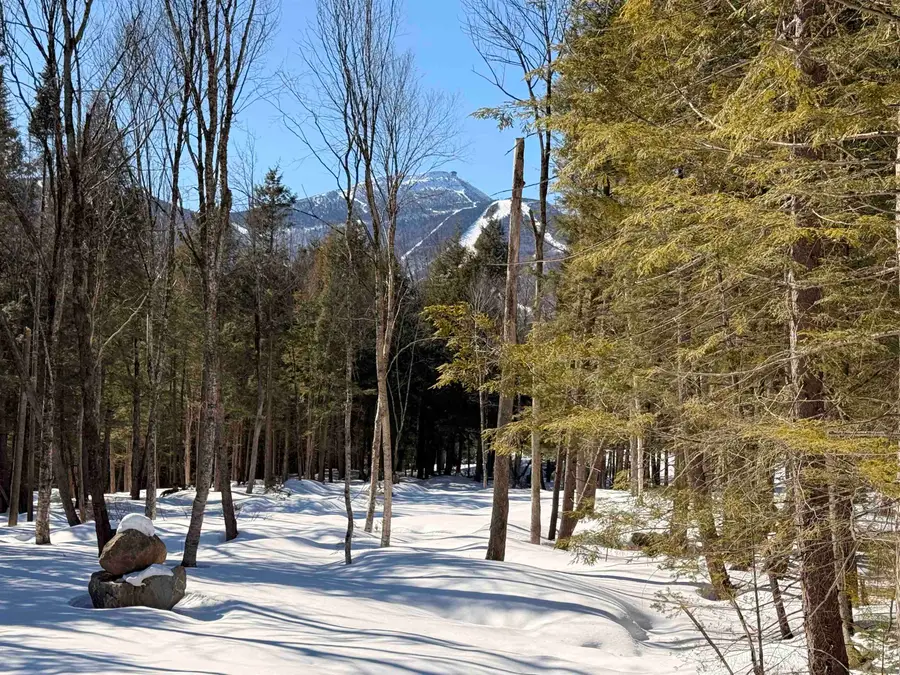 14 Aikins Drive, Jay, VT 05859 - #3