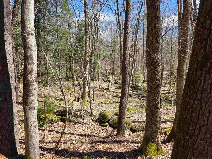 0 Mansfield Road, Marlow, NH 03456 - #3