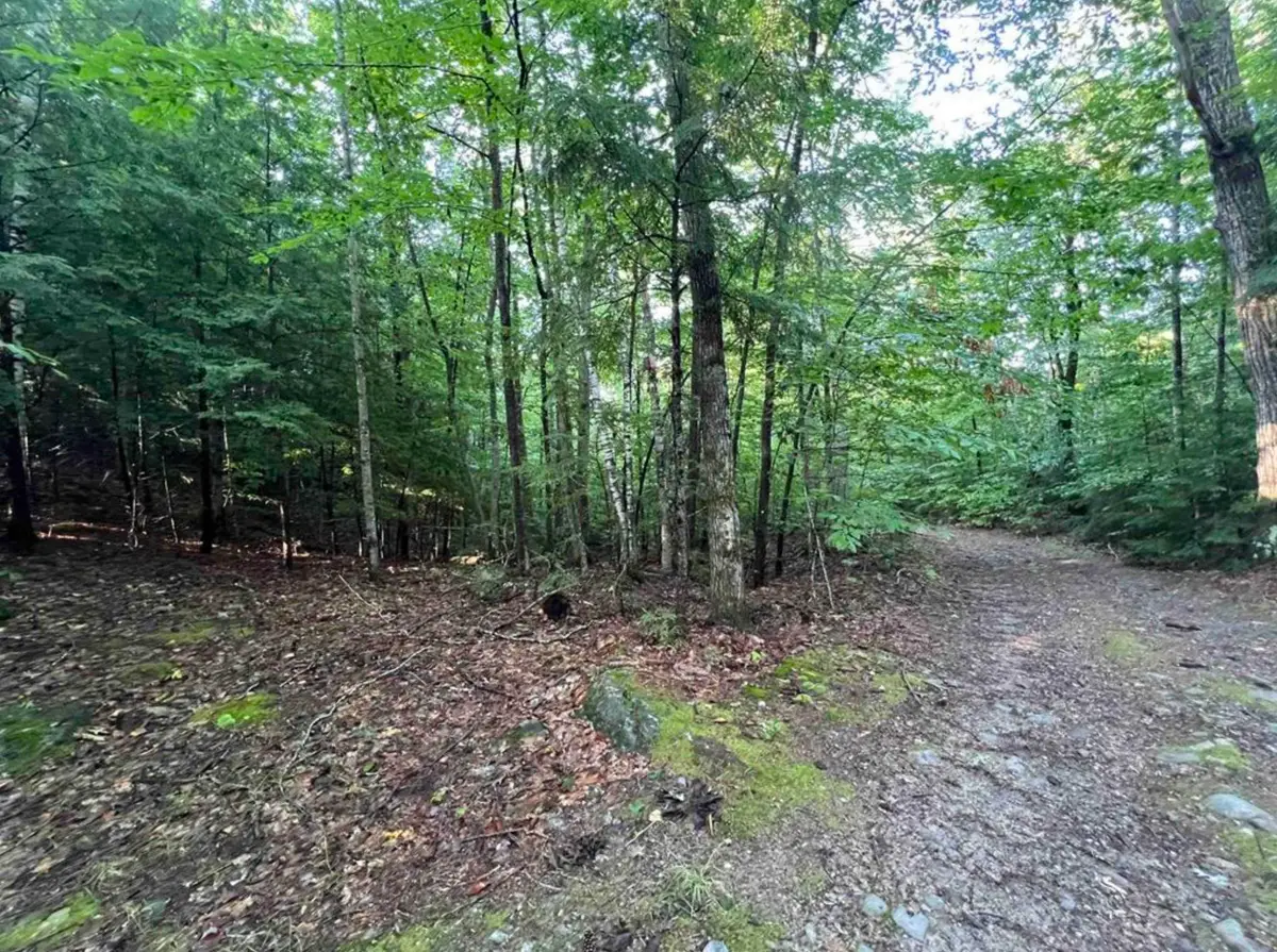 Map 6, Lot 38 Chadwick Hill Road, Webster, NH 03303 - #1