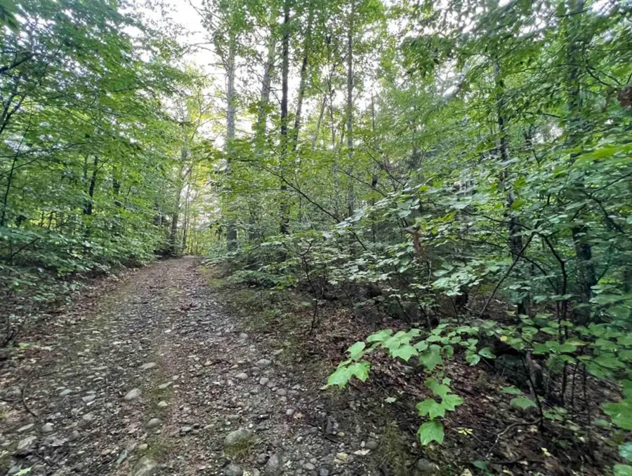 Map 6, Lot 38 Chadwick Hill Road, Webster, NH 03303 - #2