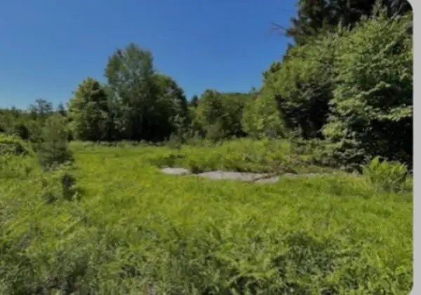 0 Alder Plains Road, Bradford, NH 03221