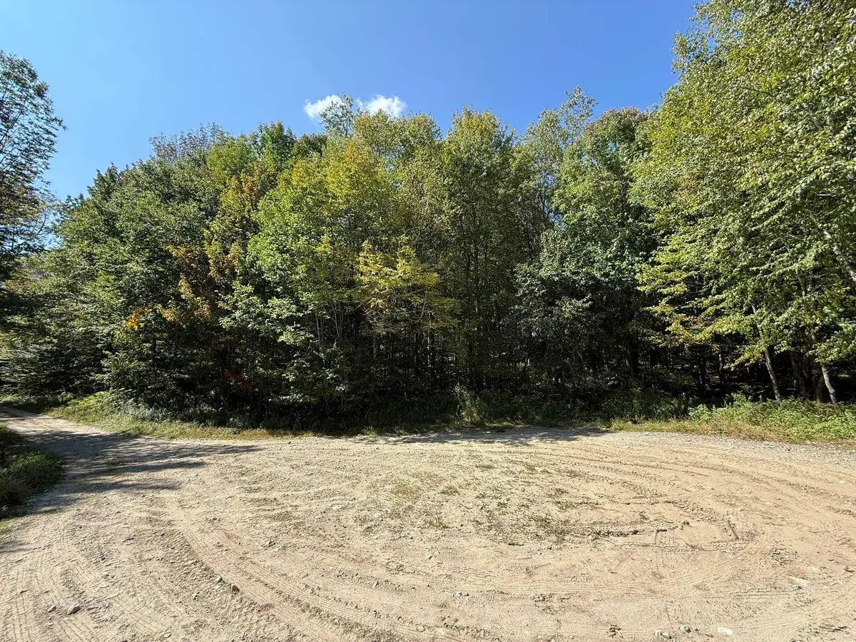 16 Schenk Road #LOT 16, Stamford, VT 05352 - #1
