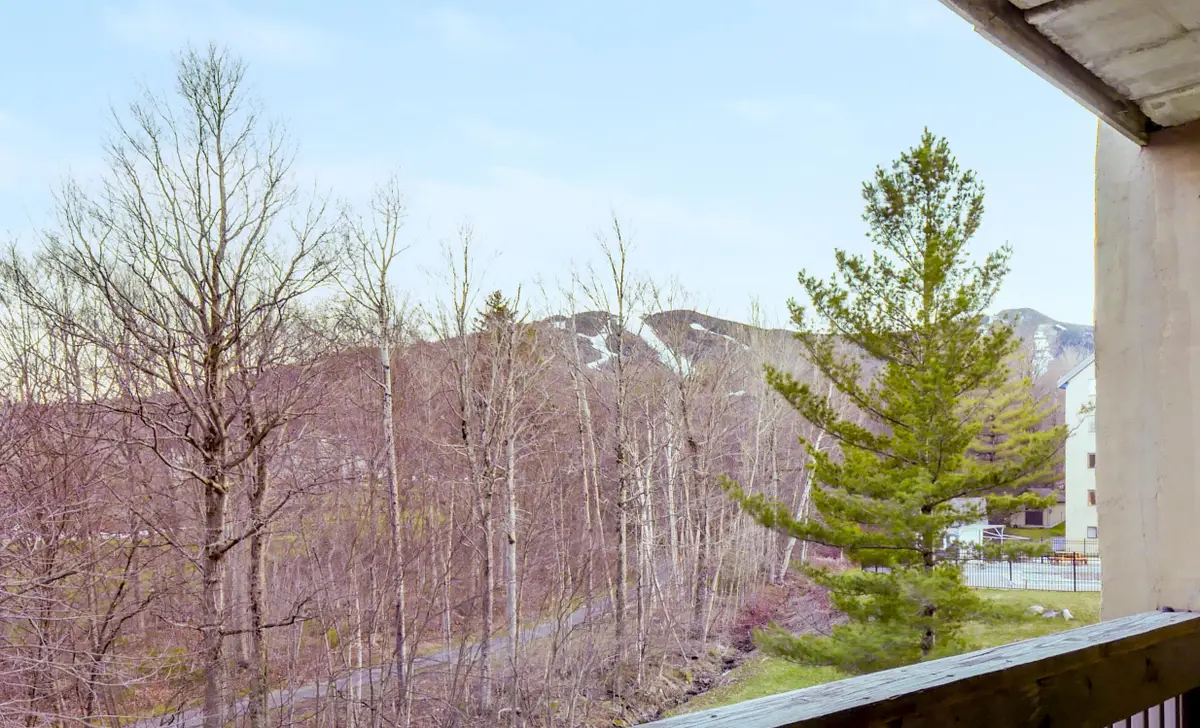 137 East Mountain Road #IID02, Killington, VT 05751 - #1