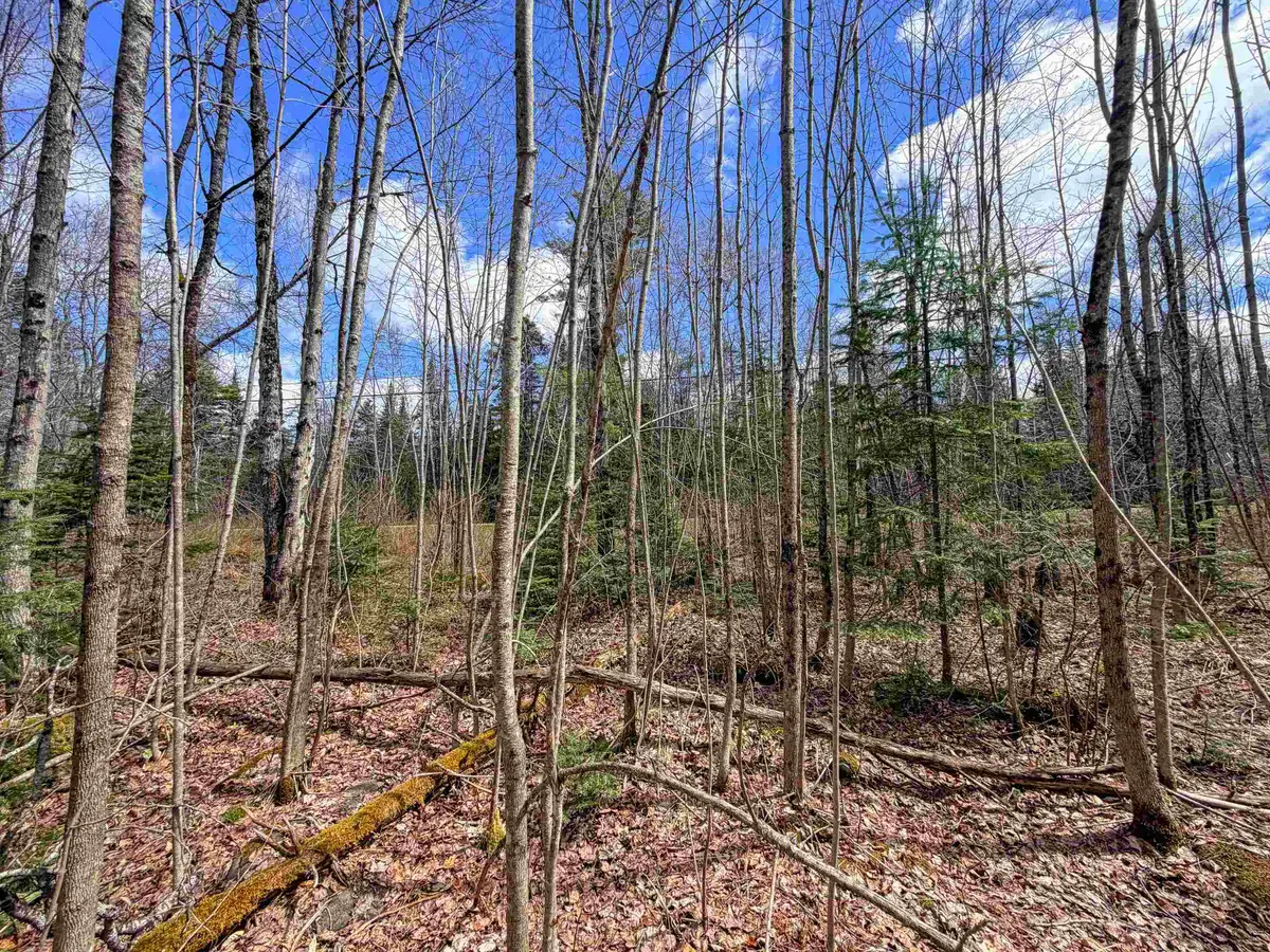 Lot 4 Oregon Road, Concord, VT 05824 - #1