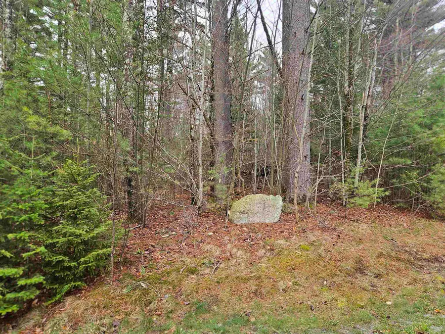Lot 20 Point of View Drive, Franconia, NH 03580 - #2