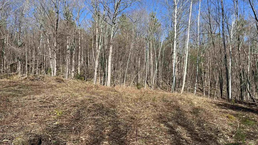 Dix Hill Road #23, Plymouth, VT 05056 - #2