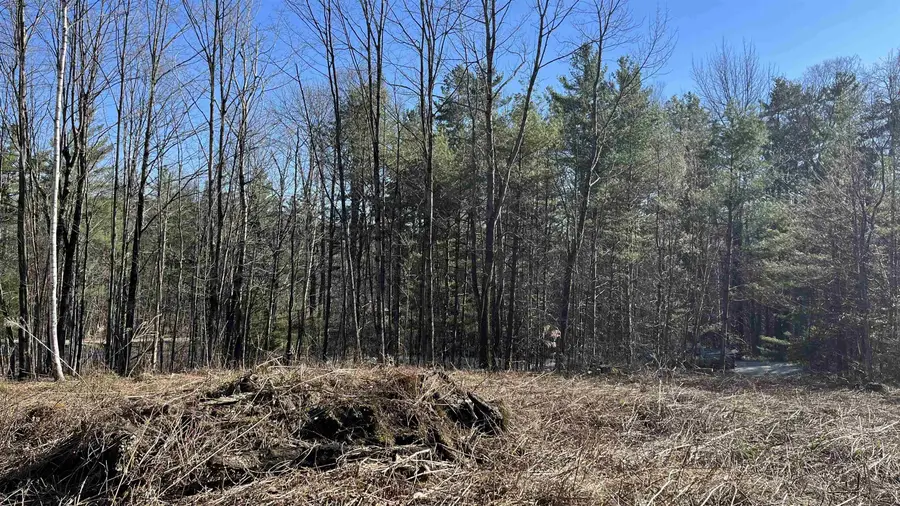 Dix Hill Road #23, Plymouth, VT 05056 - #3