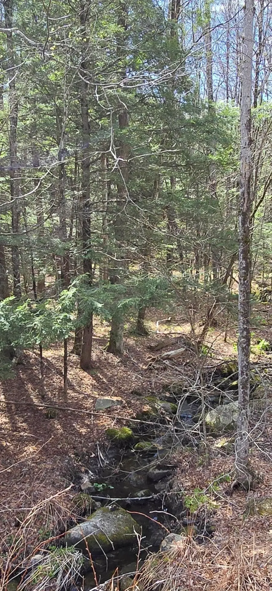 0 Jacobs Ladder Road, Becket, MA 01223 - #2