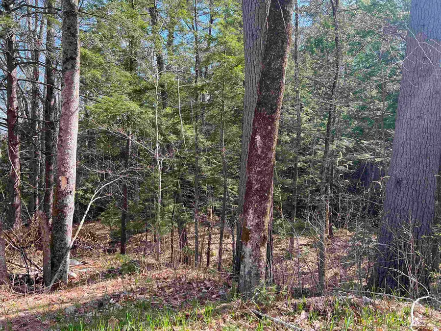 0 Brookside Street, Conway, NH 03818 - #3