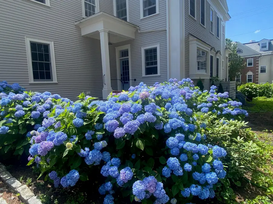 353 Pleasant Street, Portsmouth, NH 03801 - #2