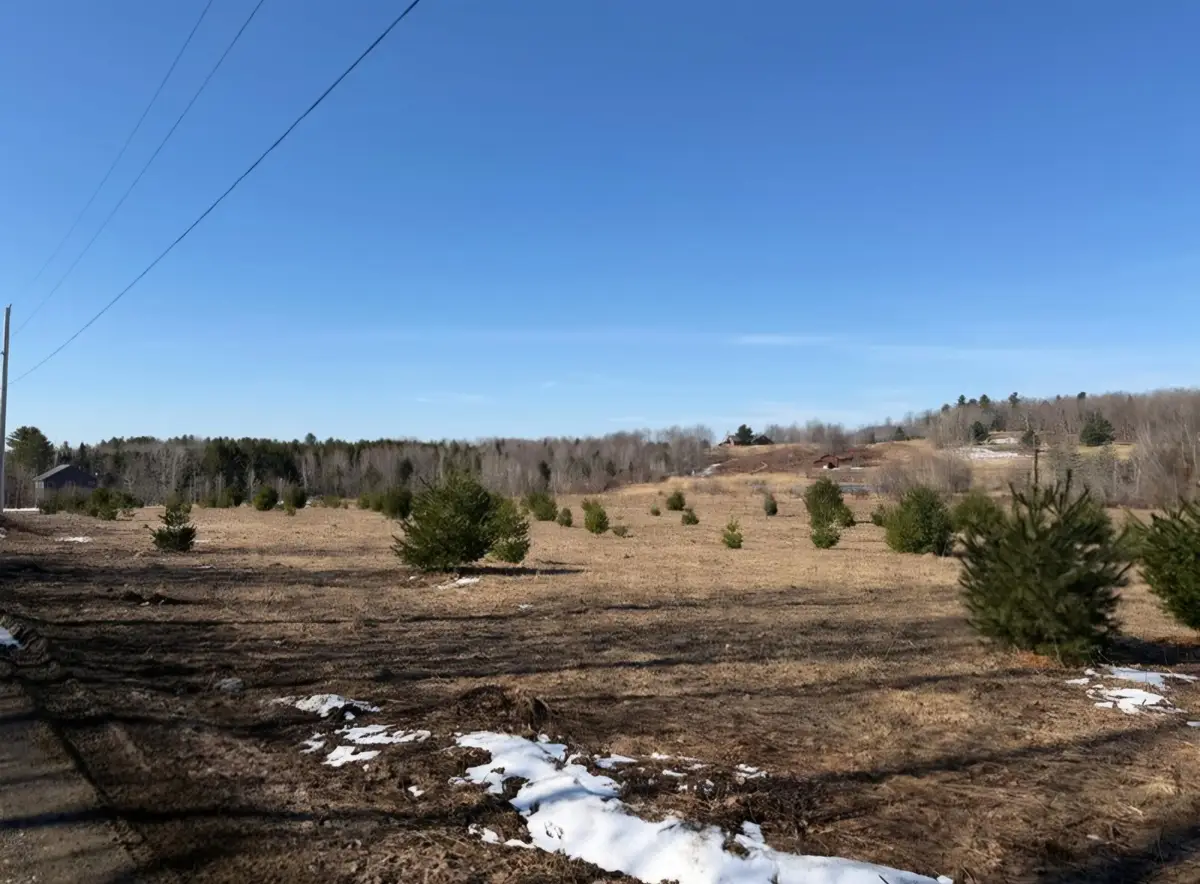 0 Fox Meadow Lane #Lot 6, Wolcott, VT 05680 - #1
