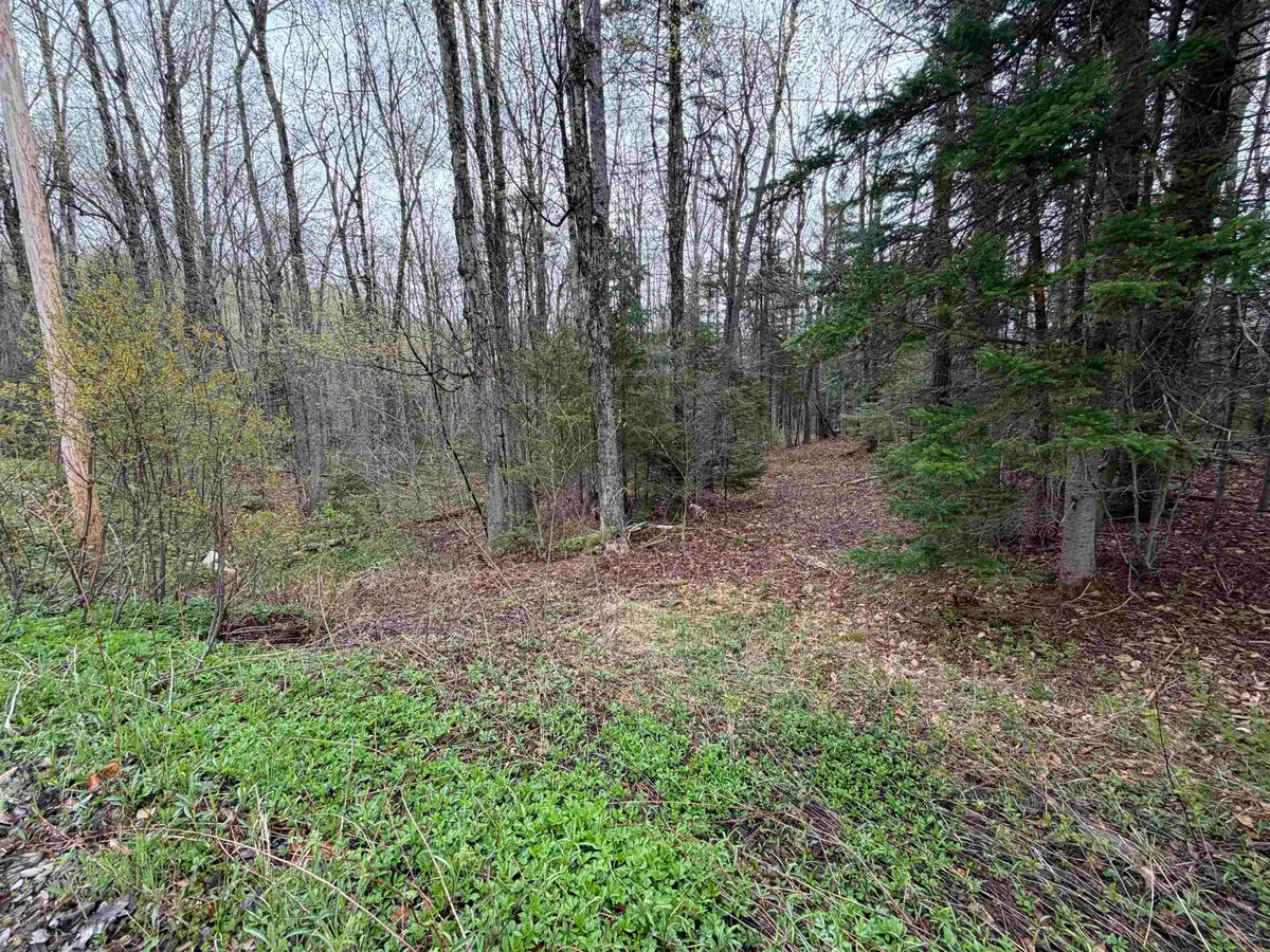 00 Lebensdorf Lane, Readsboro, VT 05350 - #1