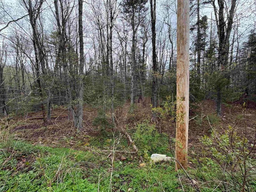 00 Lebensdorf Lane, Readsboro, VT 05350 - #2