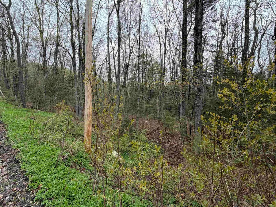 00 Lebensdorf Lane, Readsboro, VT 05350 - #3