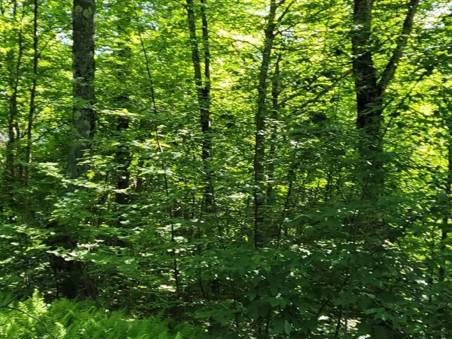Lot 26 Presidential View Lane, Bethlehem, NH 03574 - #2