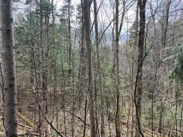 123 High Top Road #B-123, Wilmington, VT 05363