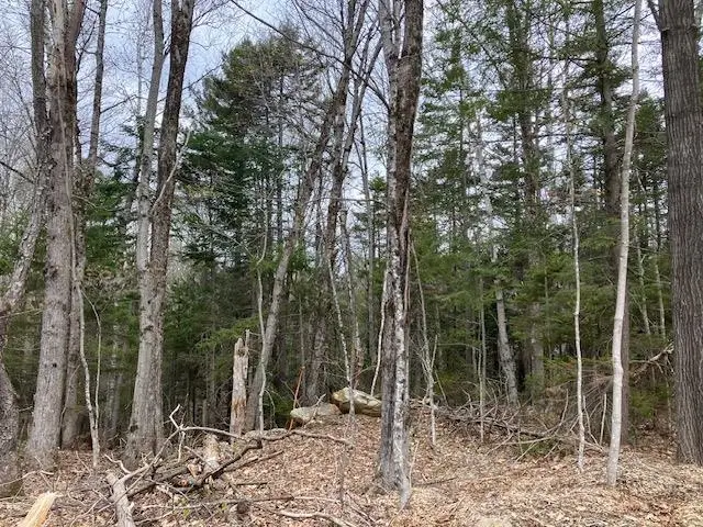 123 High Top Road #B-123, Wilmington, VT 05363 - #3