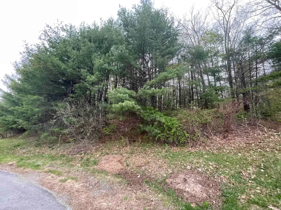 12-2 Pontiac Drive, Chesterfield, NH 03462 - #3