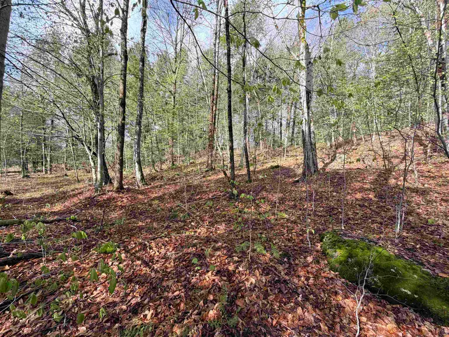 0 N Old Branch Road, Antrim, NH 03440 - #2