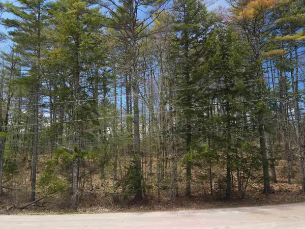 12 Eidelweiss Drive, Madison, NH 03849