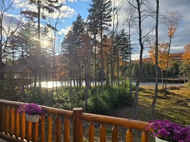 927 Ashueot Drive, Washington, NH 03280 - #2