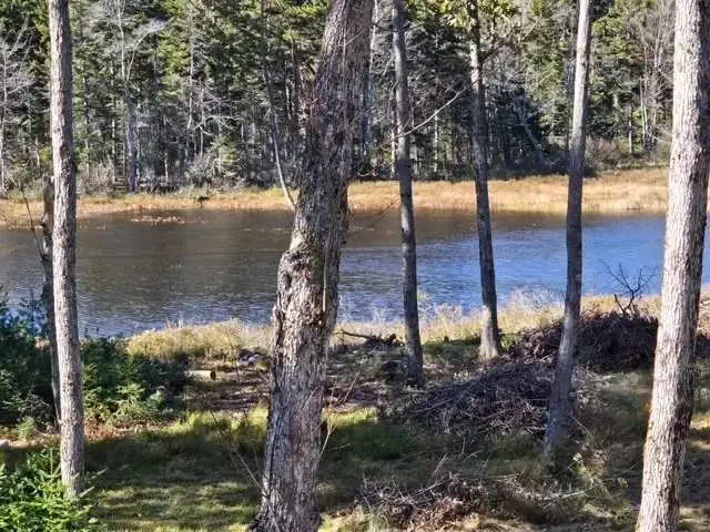 927 Ashueot Drive, Washington, NH 03280 - #3