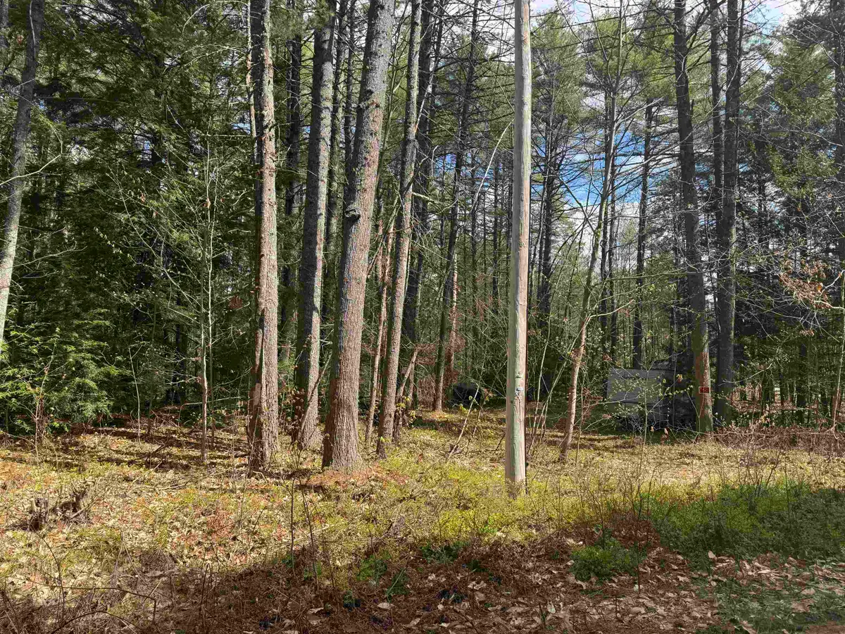 0 Riverwood Circle #12, Effingham, NH 03882 - #1