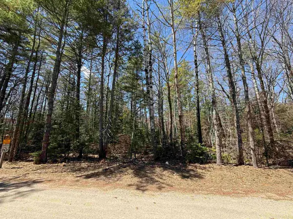 Lot 14 Partridgeberry Circle, Tuftonboro, NH 03816