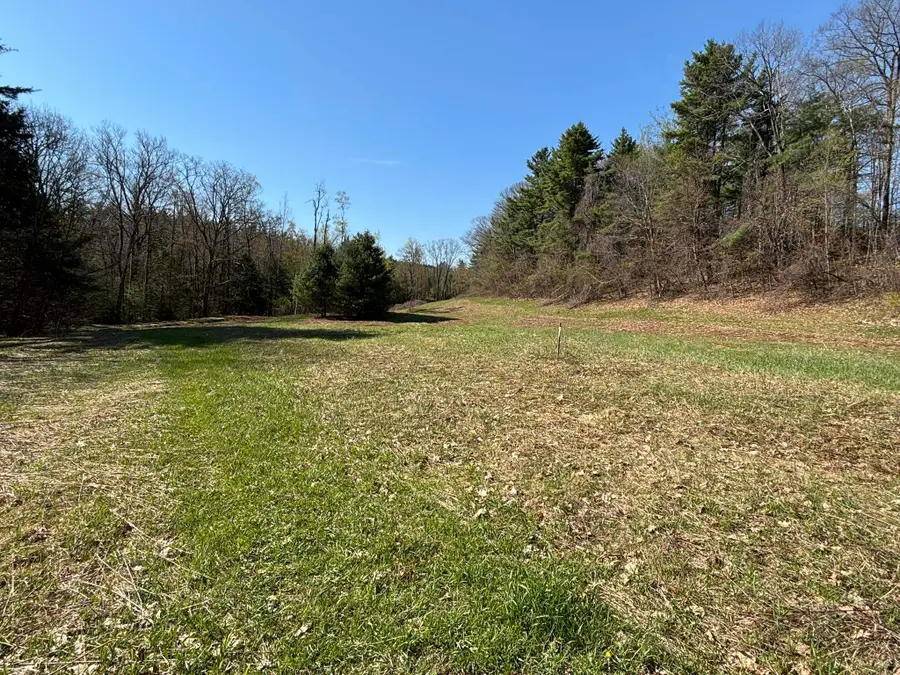 off McCrea Road, Temple, NH 03084 - #2