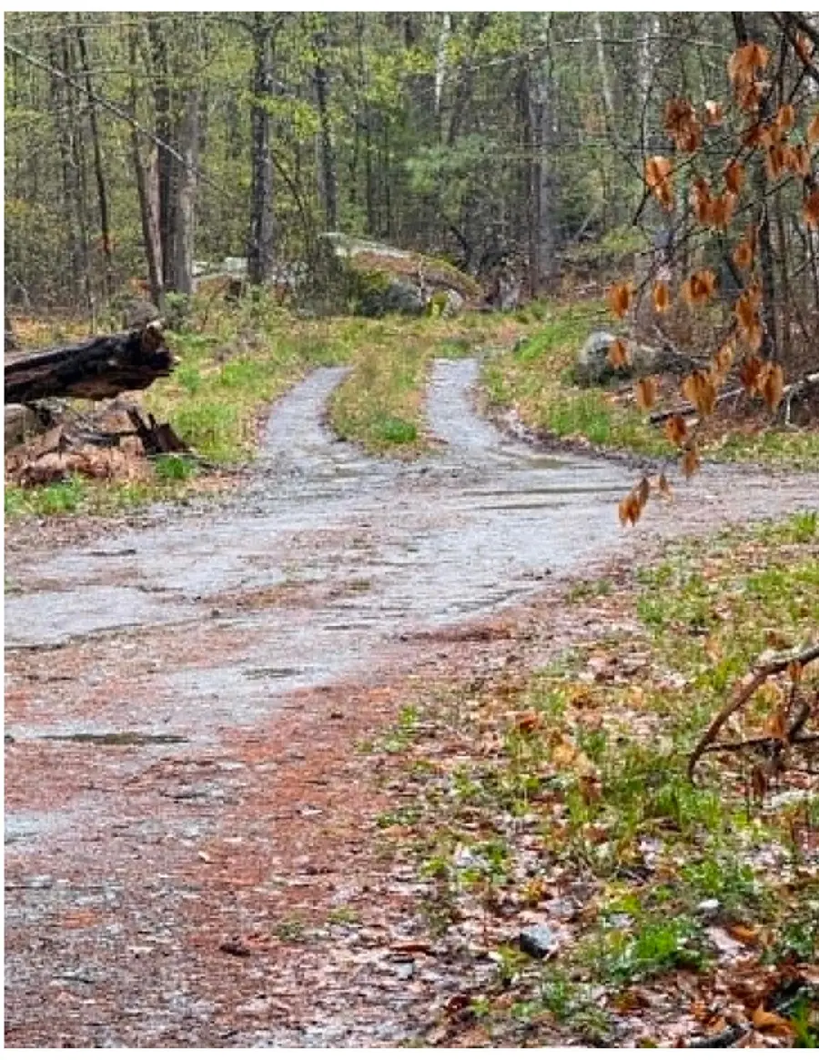 20 Fortsalong Road #L, Meredith, NH 03253 - #2