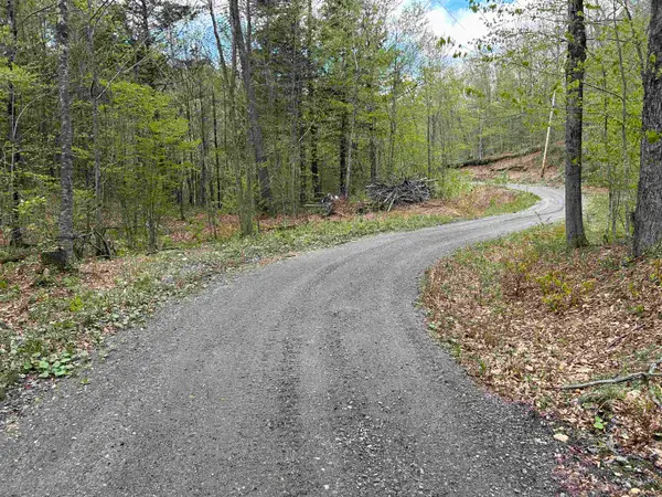 188 Rattlesnake Mountain Road, Townshend, VT 05353