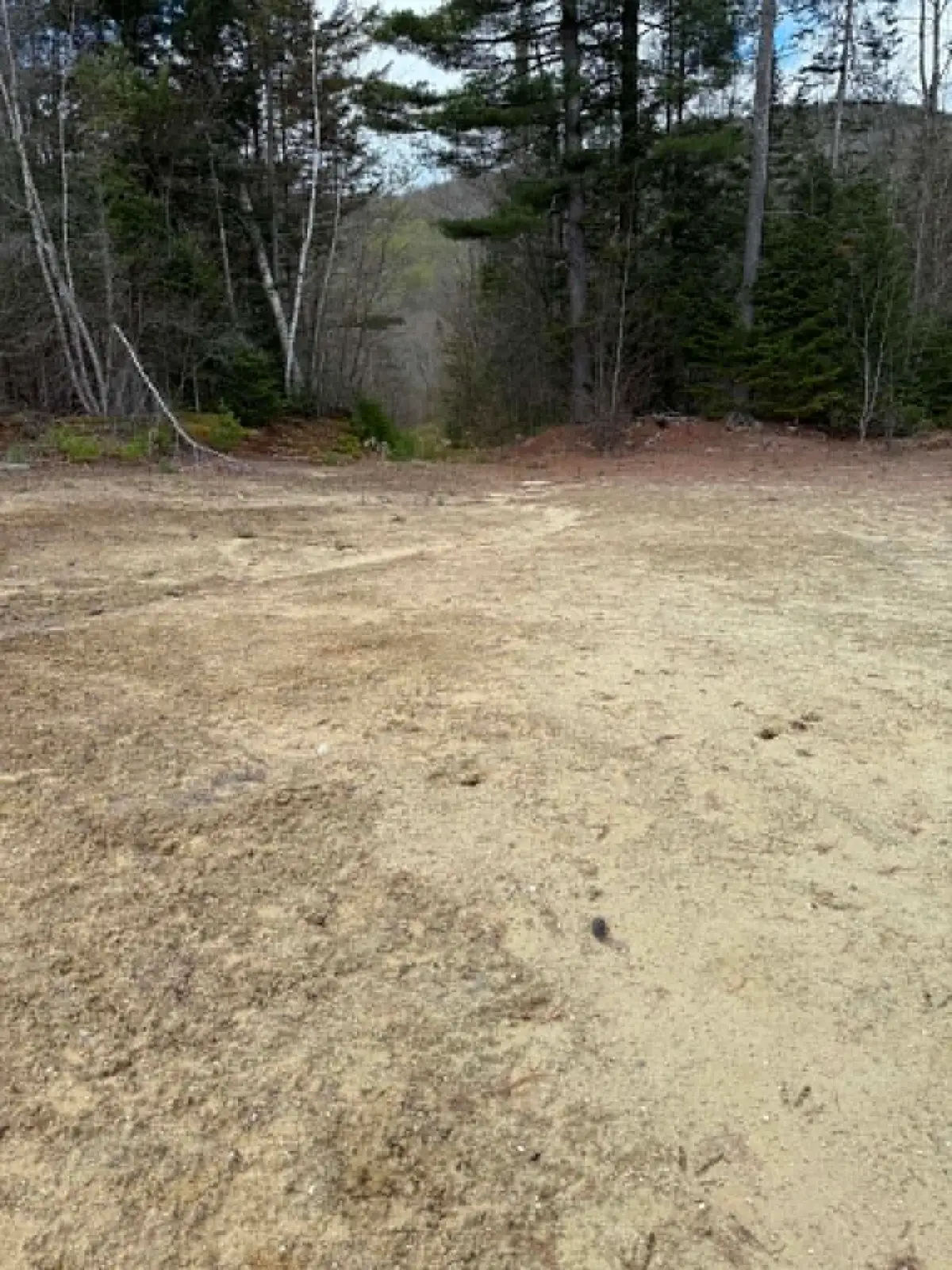 Lot 7 Bog Road, Enfield, NH 03748 - #1