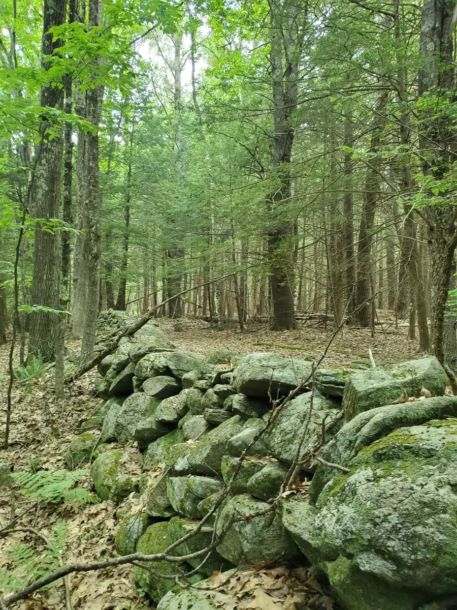 00 Monadnock Highway, Swanzey, NH 03446 - #2