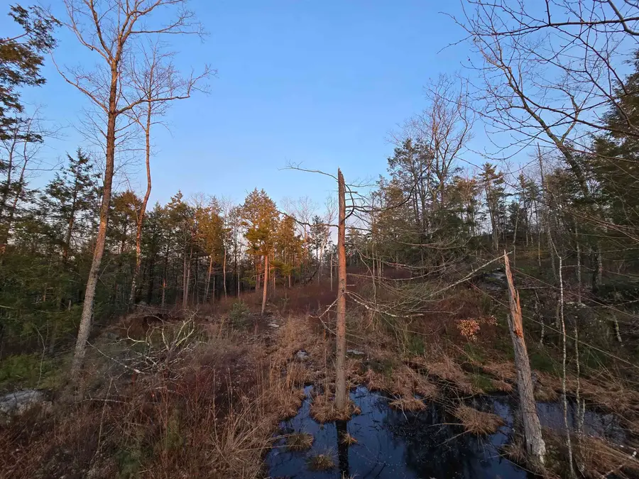 Map 104 Berry River Road #3 lots, Barrington, NH 03825 - #2