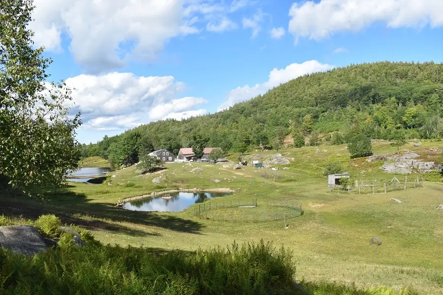 345 Deer Valley Road, Bradford, NH 03221-0000 - #3