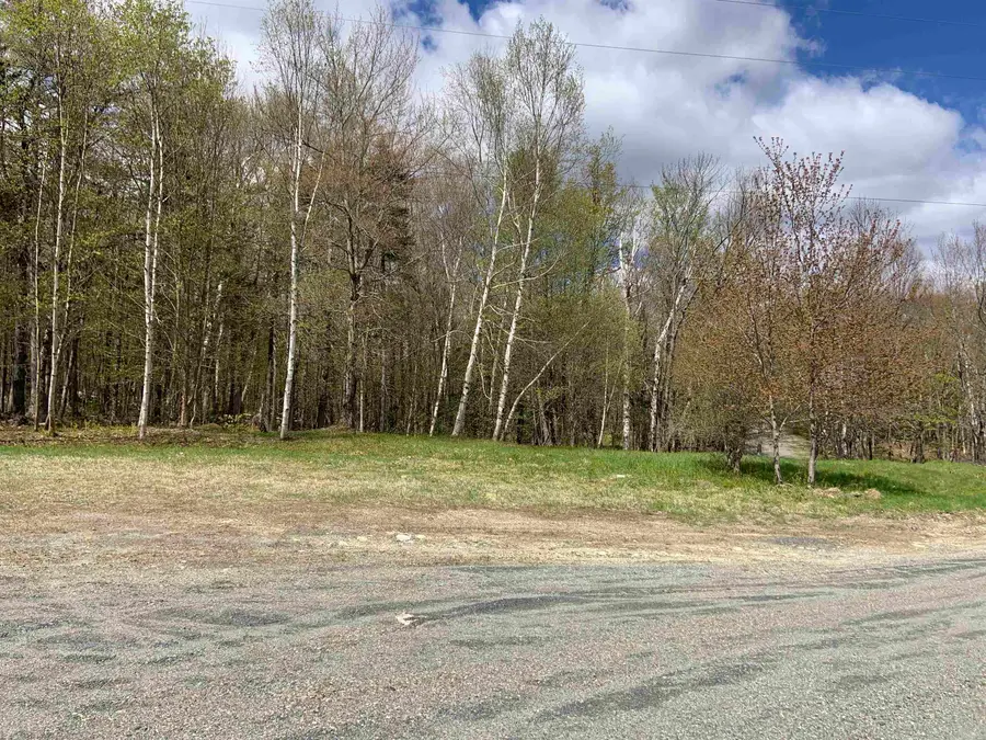 TURKWOOD Road #1,2,3,5,6,7,8, Wardsboro, VT 05355 - #2