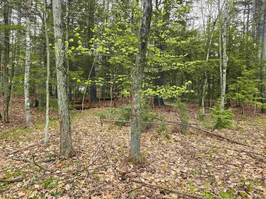 Lot 260 Thompson Road, Conway, NH 03860 - #2